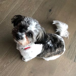 Meet your Posher, Rob